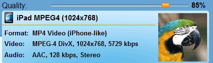 iPad video conversion quality slider